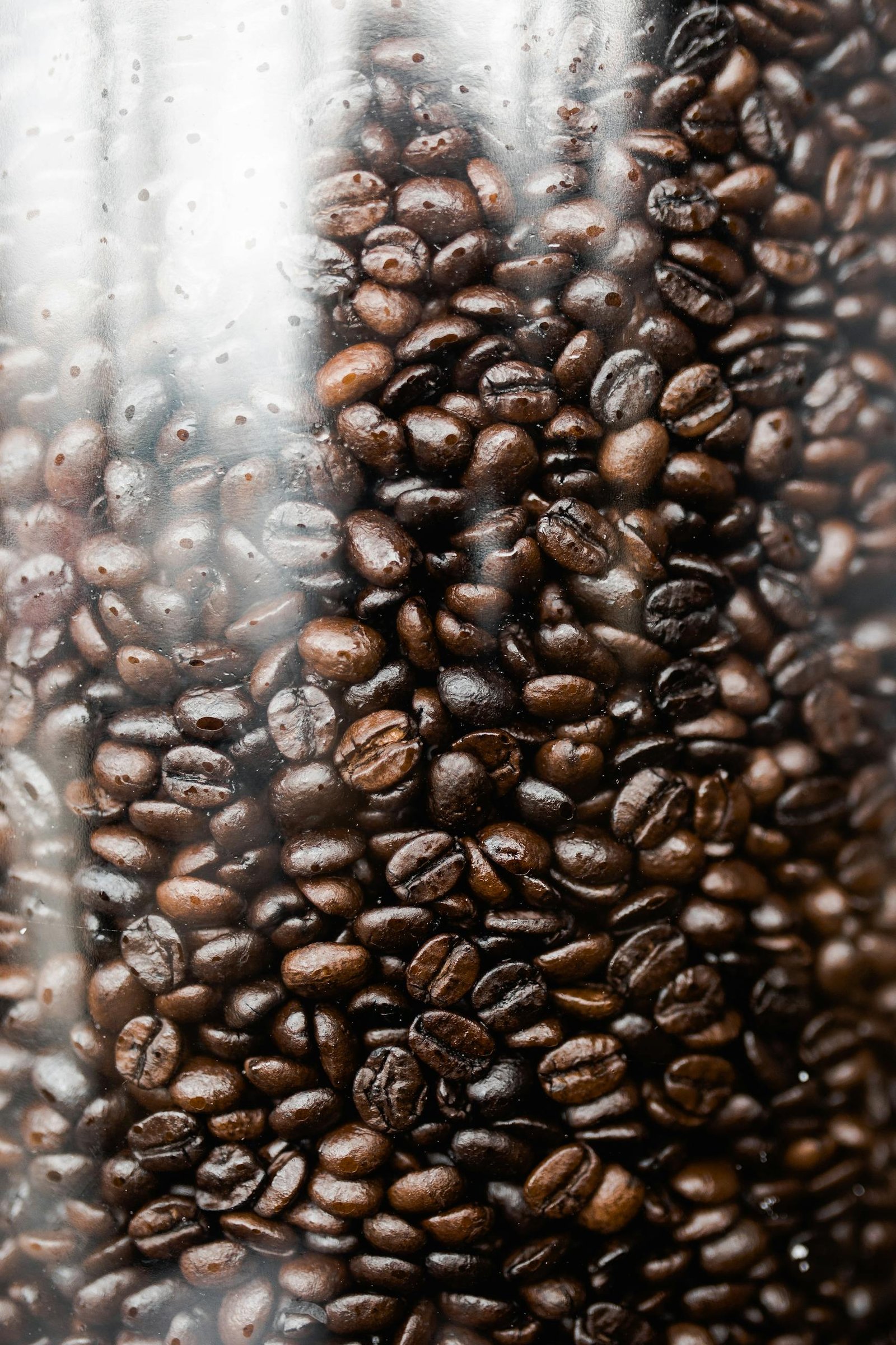 Detailed view of roasted coffee beans inside a clear glass jar, highlighting their rich brown color and shiny texture.